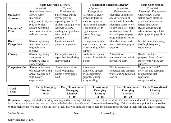 Sample Literacy Rubric